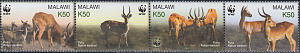 Малави, 2003, Газели WWF, 4 марки